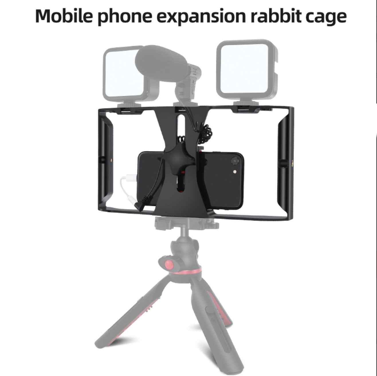 SMARTPHONE VIDEO RIG