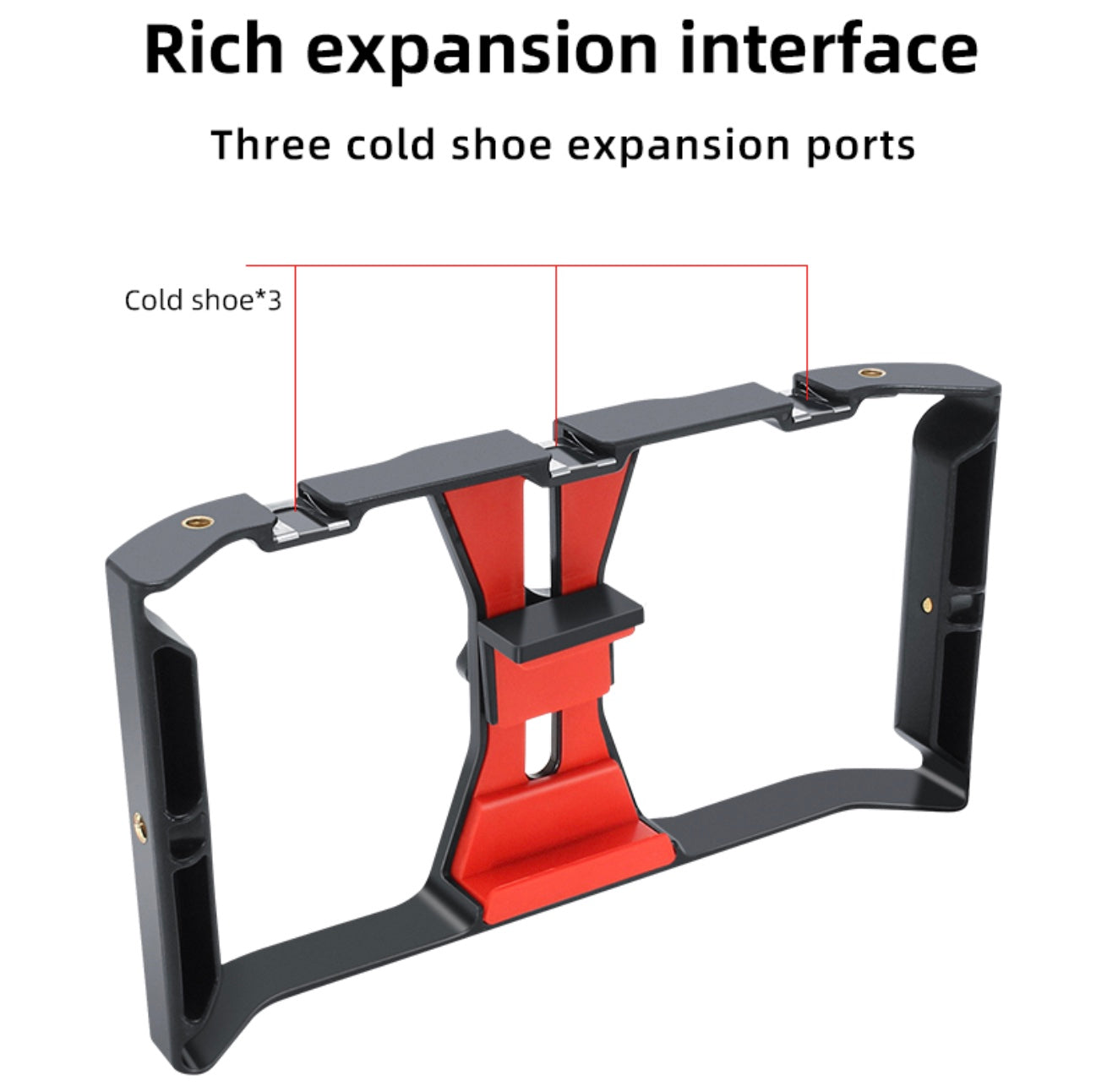 SMARTPHONE VIDEO RIG
